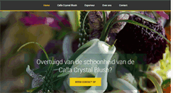 Desktop Screenshot of future-flowers.nl