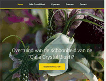 Tablet Screenshot of future-flowers.nl